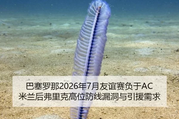 巴塞罗那2026年7月友谊赛负于AC米兰后弗里克高位防线漏洞与引援需求